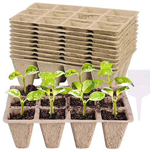Seasboes 10 Macetas Degradables de 12 Compartimentos, Minimacetas para Plántulas de Jardín, Macetas para Plantar Semillas para Verduras, Semillas, Flores, Plántulas Cover