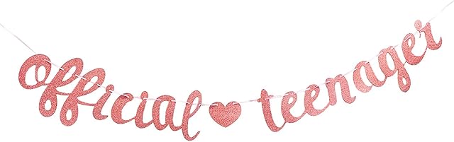 bng-bng Official Teenager Banner For Girls 13th Birthday Bunting Banner Paper Flags for 13 Year Birthday Party Decorations Thirteen Years Old Party Sign Photo Prop Rose Gold