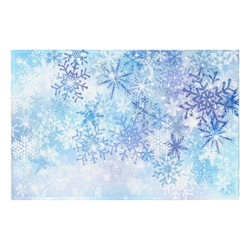 Wnoesat Blue Snowflake Winter Rug 2x3 ft Entryway Door Mat