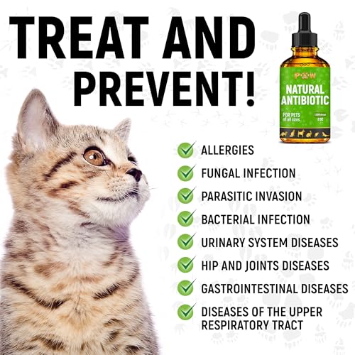 Dog Antibiotics for Infection, Coughs, UTIs, Allergies, Itching | Natural Antibiotics for Cats to Support Skin, Coat, & Digestion | for All Breeds & Ages | 2 oz