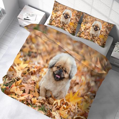 Housse de couette animal de compagnie 200x200 avec fermeture éclair douce Kg2092 - 5