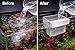 AquaPrintsByRay Aquarium Water Change Diffuser - Gentle Flow Designed for Smooth Water Changes (Clear, Large Tank (20-30 gal))