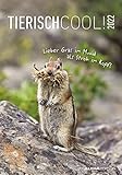  Tierisch cool! 2022 - Bild-Kalender 23,7x34 cm - mit lustigen Sprüchen - Humor - Wandkalender - mit Platz für Notizen - Alpha Edition