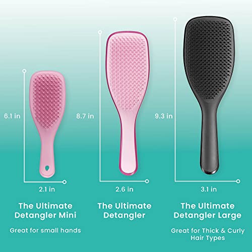 Tangle Teezer The Wet Detangler