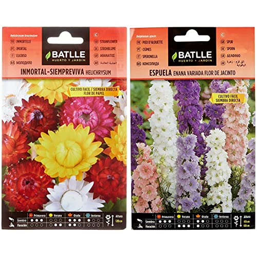 Batlle - Semillas De Inmortal Siempreviva Flor De Papel & Espuela - ENANA - Flor de Jacinto