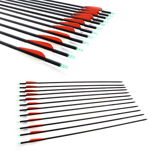 JY-Sports JIANZD Targeting Arrows 30'' Inch Carbon Fiber Hunting Arrows Outdoors Archery Green Shaft with Replace Arrow Tips and Removable Nock for Compound Bow a Dozen Arrows in Box