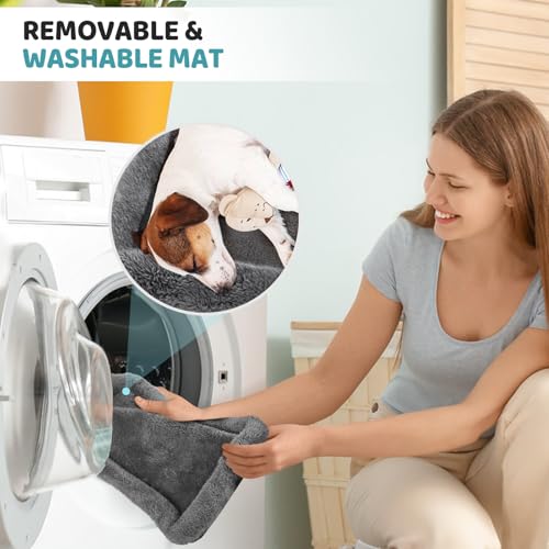 Image of JUNGYOUN Premium ​Cat Carrier - ​Pet Carrier for Cat & Small Dogs up to 15lbs - ​Airline Approved Travel Dog Carrier with Anti-Escape Zippers, Collapsible Travel Bowl & Padded Strap