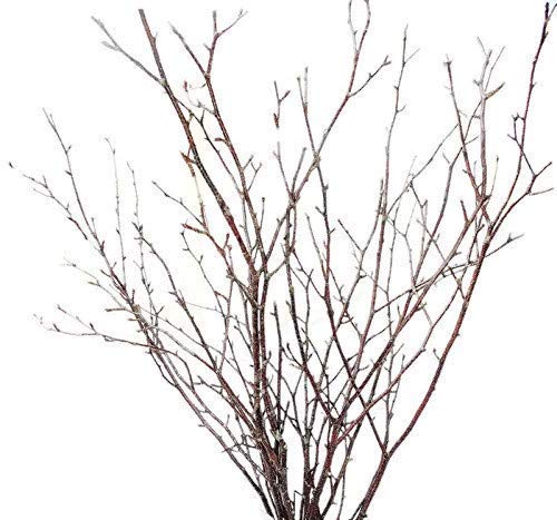Tin Roof Treasure Natural Birch Branches 2-3 Ft. Pack Of 40 #TOP1