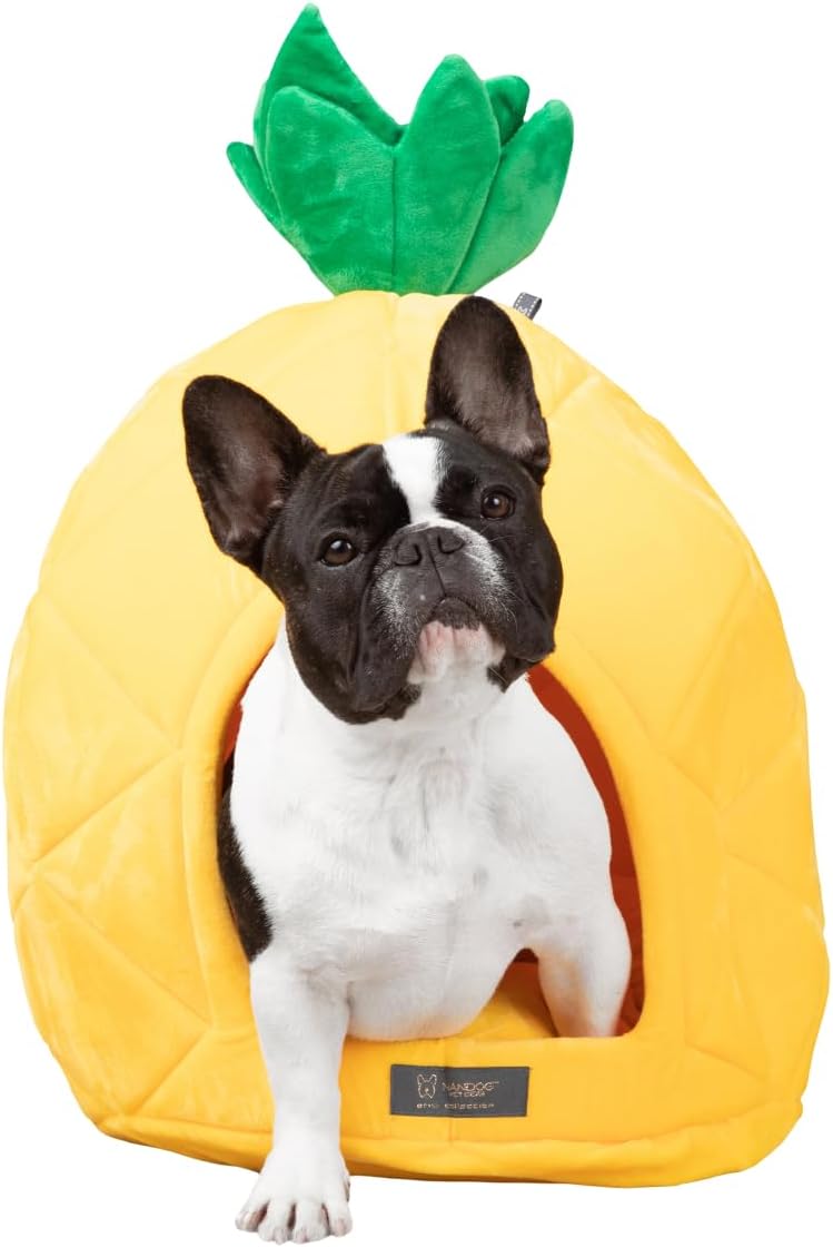NANDOG Pineapple Pet Bed 16 Fun Tropical Design Zimbabwe Ubuy