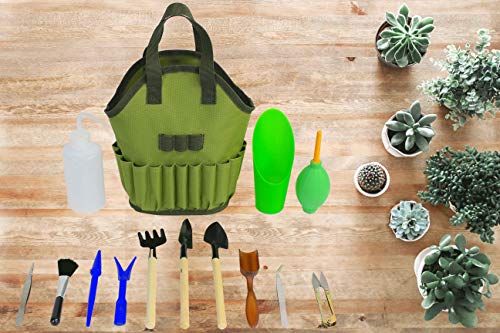 image for CALIFORNIA PICNIC Succulent Kit Organizer Bag Gardening Tool Set | Ter