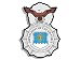 Air Force Security Police Logo Shaped Sticker (badge insignia)