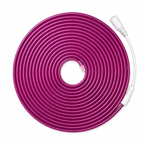 JANDEI - Ruban Lumineux LED Neón 12V, 5M 6x12mm 120 Leds/Mètres. Couleur Violet. Découpe 2,5cm. Décoration intérieure et extérieure, Maison, Commerce,...