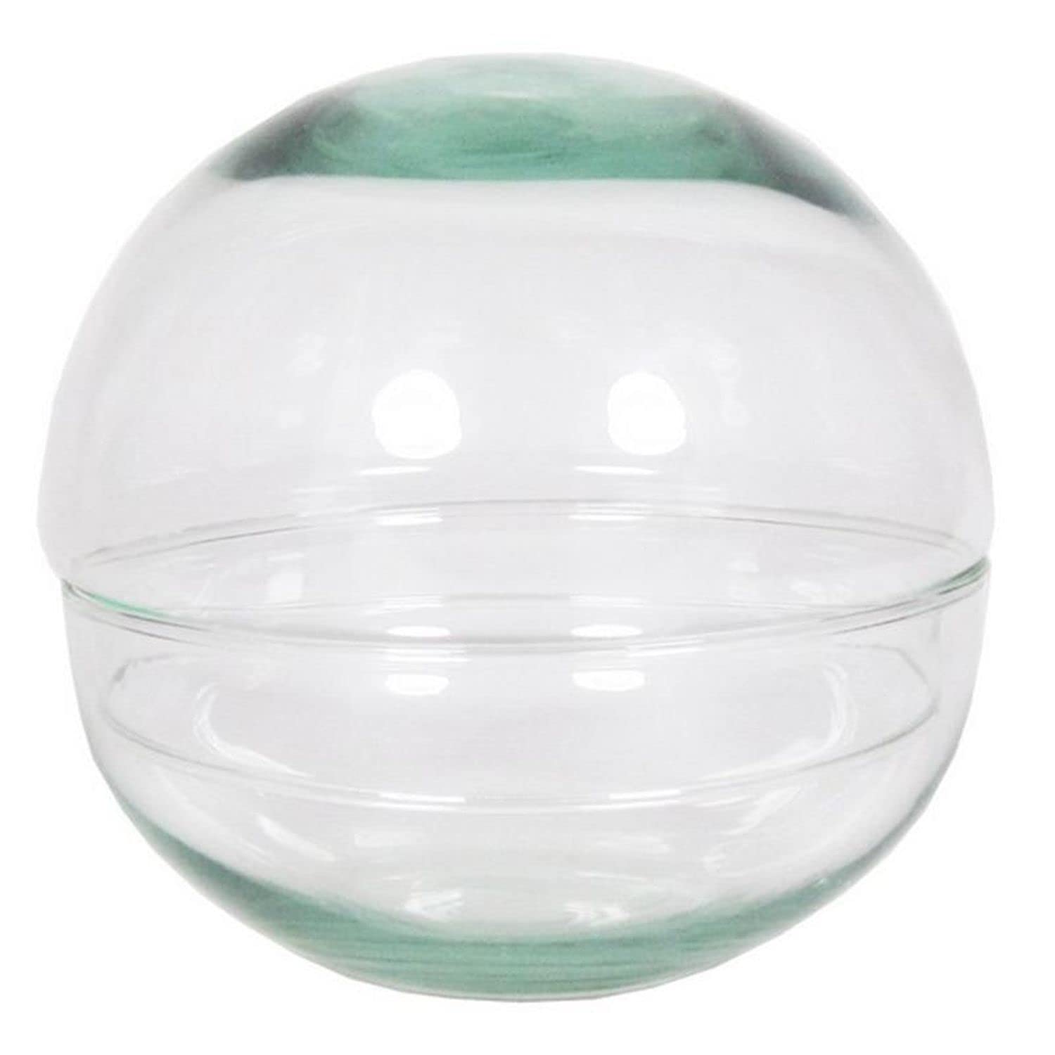 innaGLAS Terrarium sphérique Bryson, Transparent, 12 cm, Ø 12 cm | en Verre - Terrarium pour Plantes succulentes