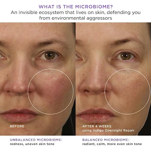 Tatcha Indigo Overnight Repair: Serum In Cream Treatment, Fragrance Free, 50 Ml | 1.7 Oz #TOP5