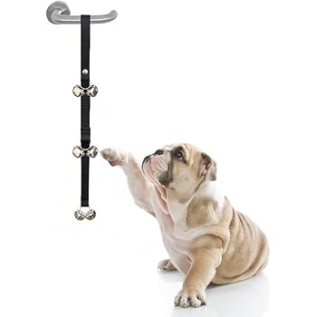 bell toilet training puppy