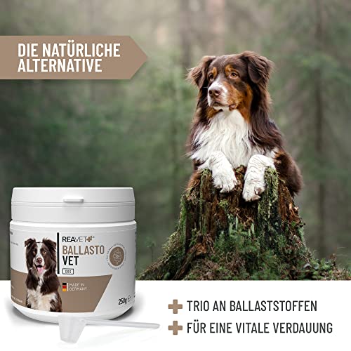 ReaVET BallastoVET für Hunde 250g – schnelle Unterstützung bei Verstopfungen beim Hund, bei akuten & chronischen Verstopfungen & festem KOT, Verdauungshilfe für Hunde, schnelle Hilfe bei Darmträgheit