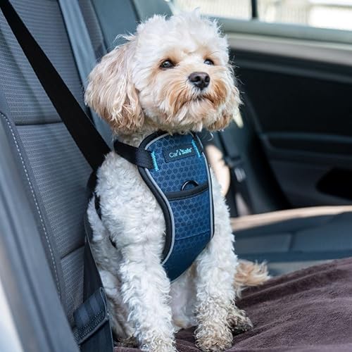 Image of CarSafe Crash Tested Dog Safety Harness - Crash Tested to 32Kg /70lbs, Safely Secure Dog in the Car, Comfortable and Padded Design. for Toy, Small, Medium and Large Dogs (Size X-Small)