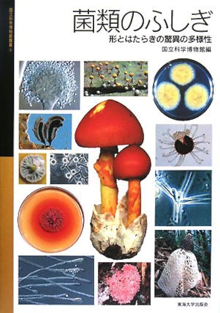 菌類のふしぎ: 形とはたらきの驚異の多様性 (国立科学博物館叢書