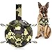 Hetoo - Balón de fútbol interactivo para perros, juguete para tirones, juguete para agua para perros, bolas duraderas para perros pequeños y medianos