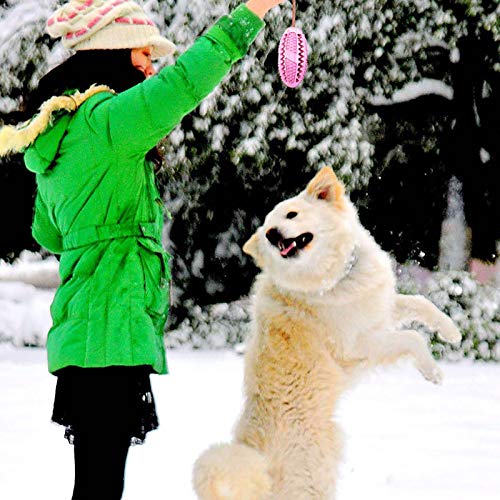 XINGKEJI Escova de dentes para cães mastigáveis para limpar os dentes do cão e proteger a saúde buca