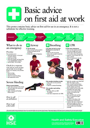 Preisvergleich Produktbild Basic advice on first aid at work (Poster)