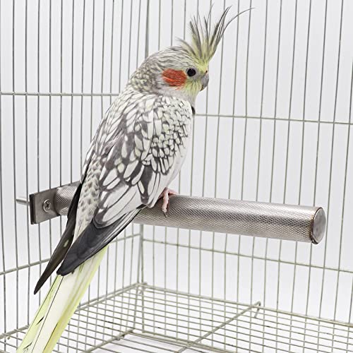 Image of Bird Perch Stand, Stainless Steel Parrot Paw Grinding Sticks, Bird Cage Accessories, Bird Standing Branches Toy for Parrots, Parakeets, Cockatiels