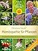 Produktbild Homöopathie für Pflanzen - Der Klassiker in der 15. Auflage: Der praktische Leitfaden für Zimmer-, Balkon- und Gartenpflanzen Mit Ergänzungen von Cornelia Maute