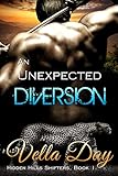Bargain eBook - An Unexpected Diversion