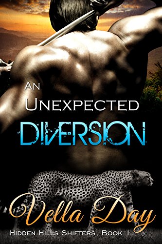 Bargain eBook - An Unexpected Diversion