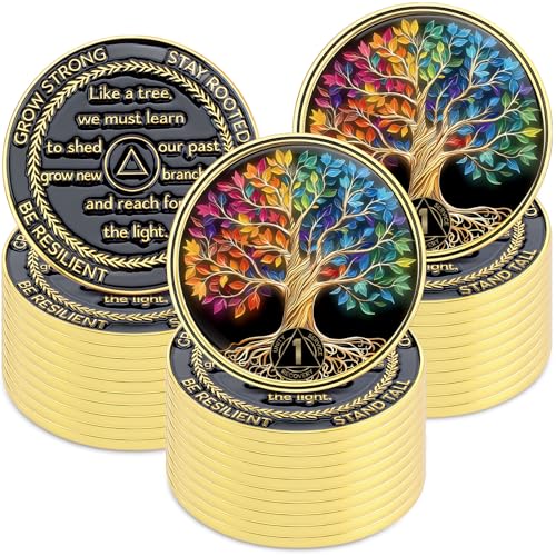 Médaillon alcooliques anonymes Landical lot de 30 jetons AA sobriété un an
