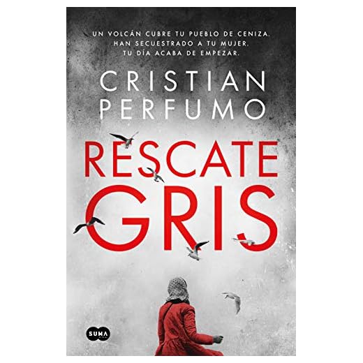 Rescate gris (Thrillers en la Patagonia)