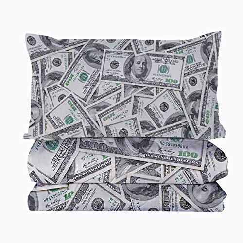 Blessliving Money Comforter Set Ultra Soft Microfiber One Hundred Dollar Bill Print Bedding 3 Piece Lightweight Bedding Quilt Sets, Twin/Twin Xl Size, Retro Green Black #TOP5