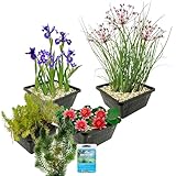 S VD VELDE WATERPLANTEN