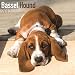 Basset Hound Calendar 2017 - Dog Breed Calendars - 2016 - 2017 wall calendars - 16 Month by Avonside