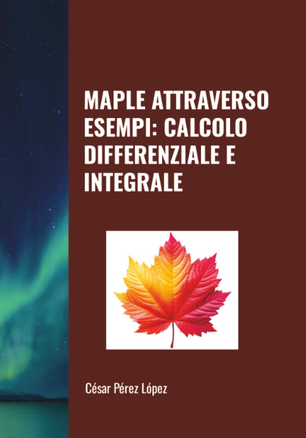 MAPLE ATTRAVERSO ESEMPI: CALCOLO DIFFERENZIALE E INTEGRALE