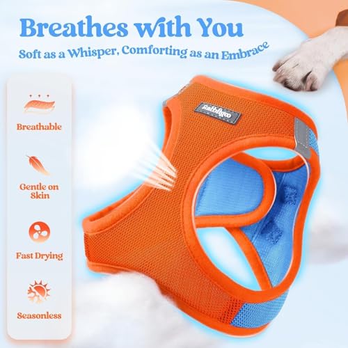 Image of rabbitgoo Dog Harness Medium Sized and Leash Set, Step-in Puppy Pet Vest
