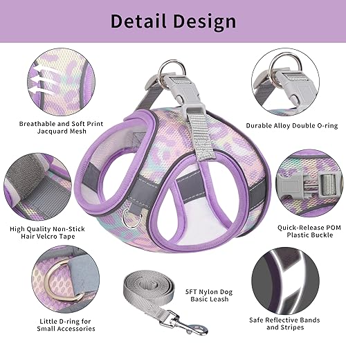 JOYPAWS No Pull Dog Harness and Leash Set,Floral Print All Weather Air Mesh, Step in Adjustable Dog Walking Harness with Padded Vest for Medium Size Dogs Lavender L