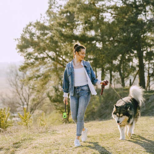 POPETPOP Clicker Treinamento para CÃ£es Com Pulseira de Pulso Clicker Treinamento para Animais de Es