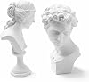 Mini Resin Bust in Plaster Look Handmade Art Sculpture Modern Decoration for Home & Office Drawing Model for Sketching & DIY Creative Gift (6 cm David Bust and 7 cm Venus Bust)