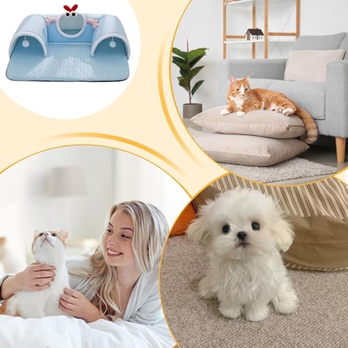Tunnel de jeu pour chats et lit tapis intégré pour animaux de compagnie - 6