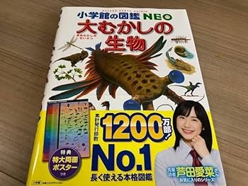 小学館の図鑑NEO　帯付美品　　一部付録付あり　まとめ売り12冊 小学館の図鑑NEO 昆虫 帯付｜Yahoo!フリマ（旧PayPayフリマ）