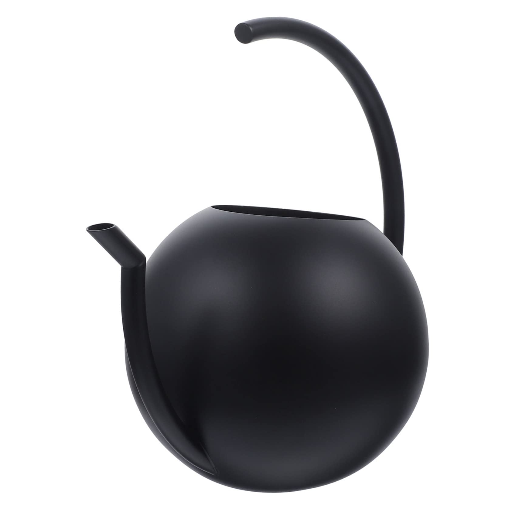 Arrosoir Simple 1l en Acier Inoxydable Noir pour Plantes et Maison