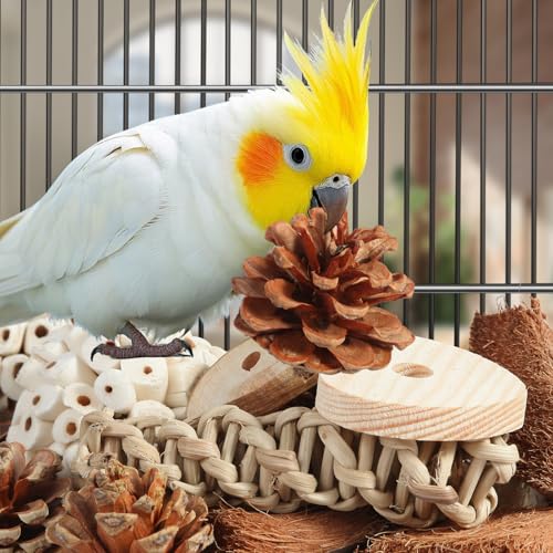 Image of Kyouki Bird Toys Parrot Natural Bird Foraging Box Foot Toys for Parakeets,Cockatiels,Conures,Love Birds,and Other Small to Medium Birds (Large)