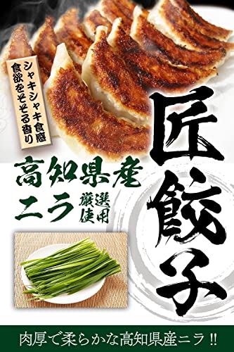 ぎょうざ館 匠餃子 ニラ入り 48個 ×2袋 合計96個入 の商品画像 1
