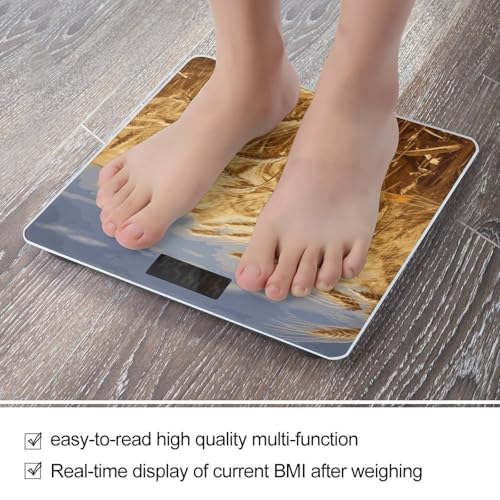 Báscula Digital de Baño de Vidrio Templado con Cinta Métrica miniatura 5