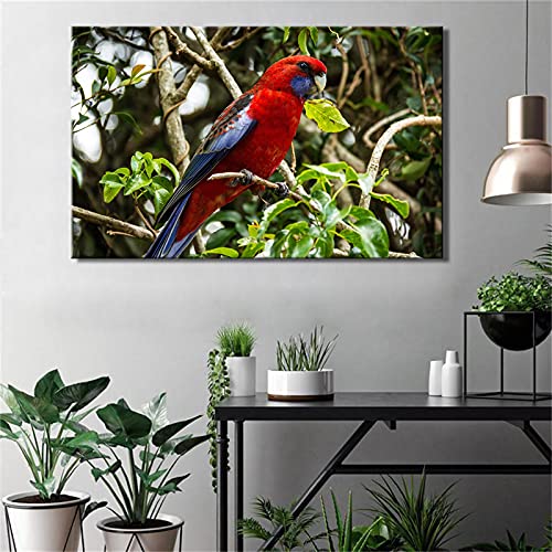 Hand Painted Oil Painting On Canvas - Modern Animal Posters And Prints Colorful Parrot Pictures Wall Art Canvas Painting On Canvas For Living Room Bedroom Office Hallway Hotel And Dining Room Home De #TOP16
