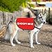 Rescue Dog Jacket Vest Adopt ME Dog Vest Service Apparel Working Clothes (Adopt ME-Large)