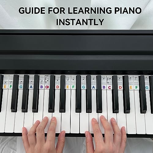 Snapklik.com : BEATBIT Piano Notes Guide For Beginner, Removable Piano ...