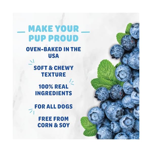 Shameless pets soft baked dog treats blueberried treasure natural healthy dog chews with mint for immune support dog biscuits baked made in usa free from grain corn soy 1 pack  urban country home decor