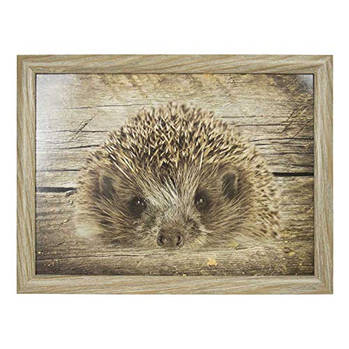 Mars & More - Knietablett - Laptopkissen - Kissentablett - Motiv: Igel - 43x33x7cm Cover